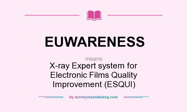 What does EUWARENESS mean? It stands for X-ray Expert system for Electronic Films Quality Improvement (ESQUI)