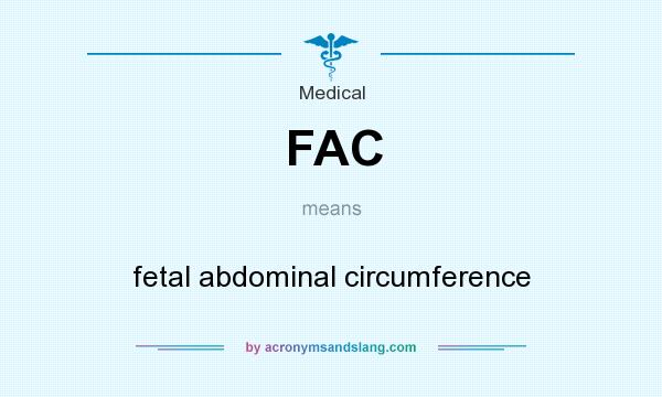 What does FAC mean? It stands for fetal abdominal circumference