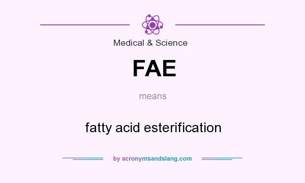 What does FAE mean? It stands for fatty acid esterification
