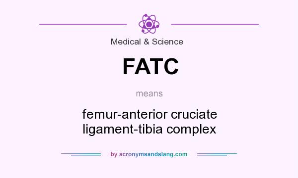 What does FATC mean? It stands for femur-anterior cruciate ligament-tibia complex