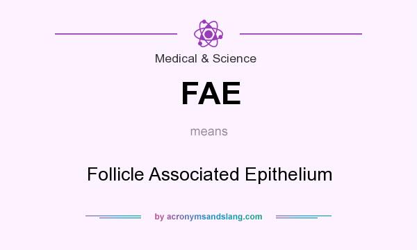 What does FAE mean? It stands for Follicle Associated Epithelium