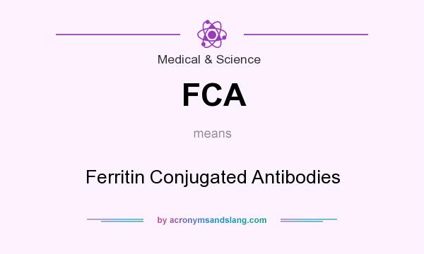 What does FCA mean? It stands for Ferritin Conjugated Antibodies