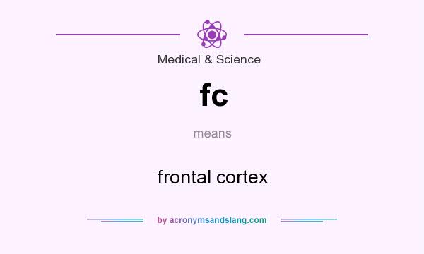 What does fc mean? It stands for frontal cortex