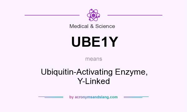 What does UBE1Y mean? It stands for Ubiquitin-Activating Enzyme, Y-Linked