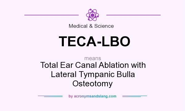 What does TECA-LBO mean? It stands for Total Ear Canal Ablation with Lateral Tympanic Bulla Osteotomy