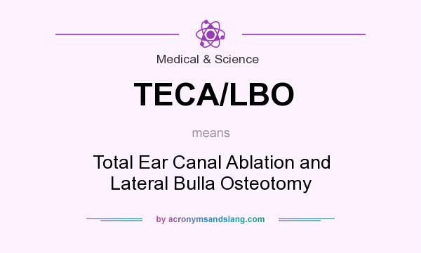What does TECA/LBO mean? It stands for Total Ear Canal Ablation and Lateral Bulla Osteotomy