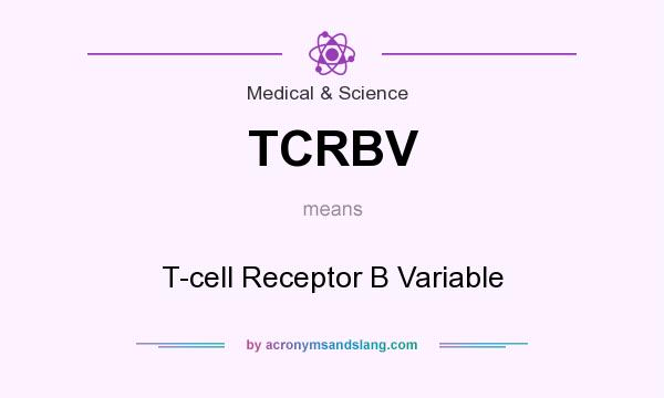 What does TCRBV mean? It stands for T-cell Receptor B Variable