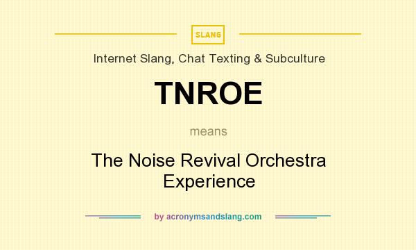 What does TNROE mean? It stands for The Noise Revival Orchestra Experience