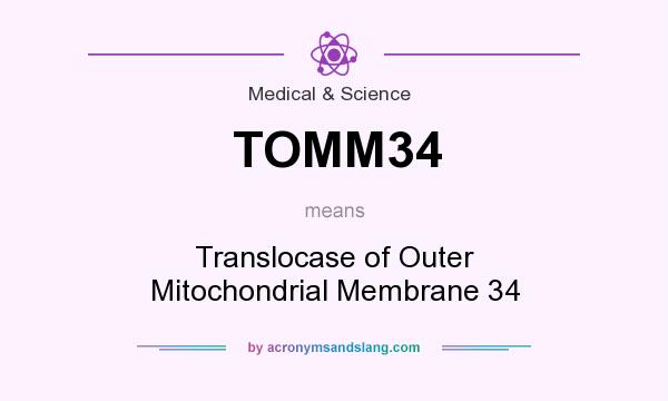 What does TOMM34 mean? It stands for Translocase of Outer Mitochondrial Membrane 34