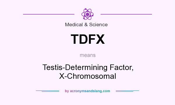 What does TDFX mean? It stands for Testis-Determining Factor, X-Chromosomal