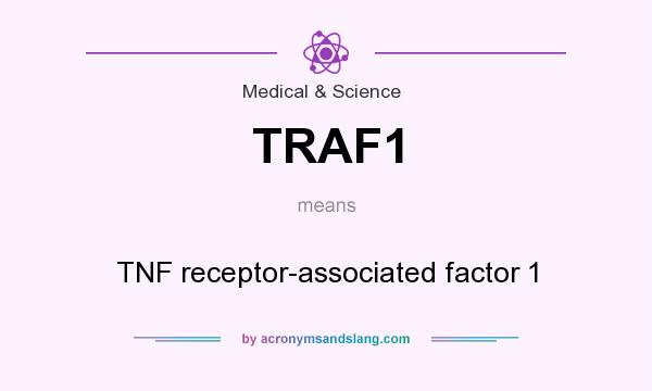 What does TRAF1 mean? It stands for TNF receptor-associated factor 1