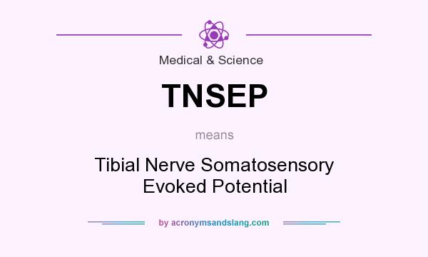 What does TNSEP mean? It stands for Tibial Nerve Somatosensory Evoked Potential