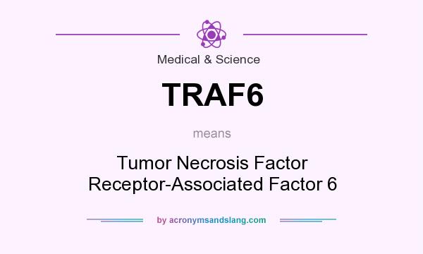 What does TRAF6 mean? It stands for Tumor Necrosis Factor Receptor-Associated Factor 6