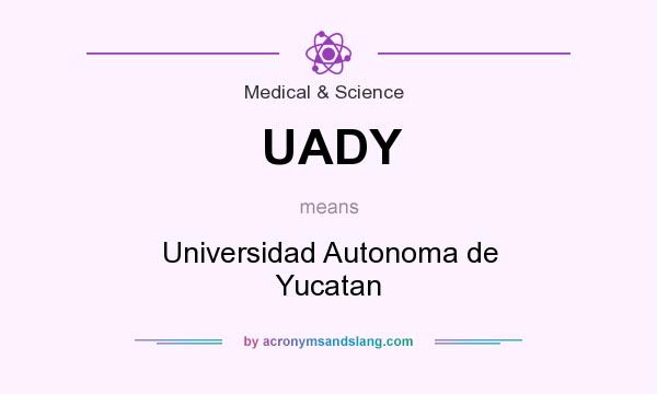What does UADY mean? It stands for Universidad Autonoma de Yucatan