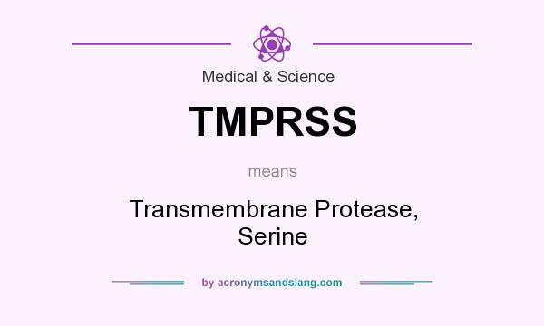 What does TMPRSS mean? It stands for Transmembrane Protease, Serine