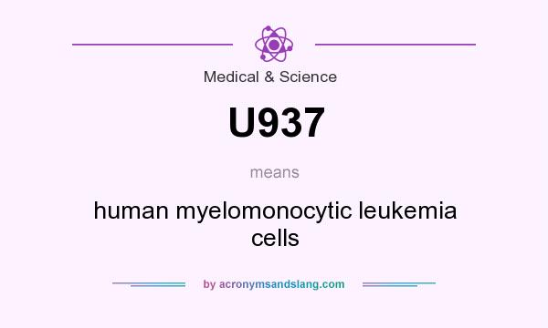 What does U937 mean? It stands for human myelomonocytic leukemia cells