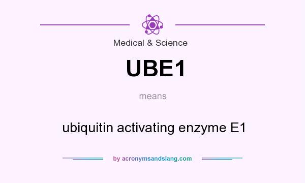 What does UBE1 mean? It stands for ubiquitin activating enzyme E1