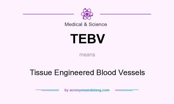 What does TEBV mean? It stands for Tissue Engineered Blood Vessels
