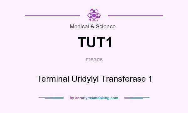 What does TUT1 mean? It stands for Terminal Uridylyl Transferase 1