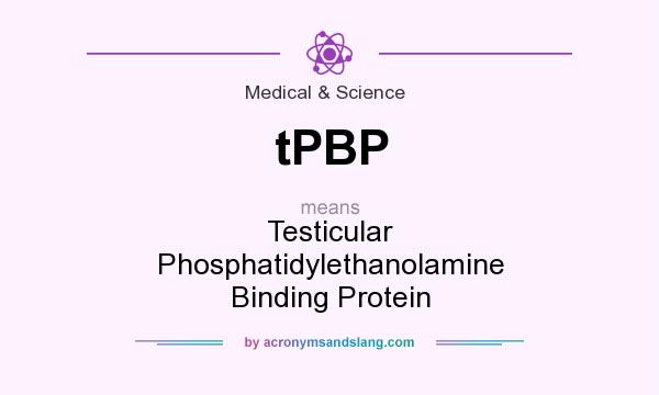 What does tPBP mean? It stands for Testicular Phosphatidylethanolamine Binding Protein
