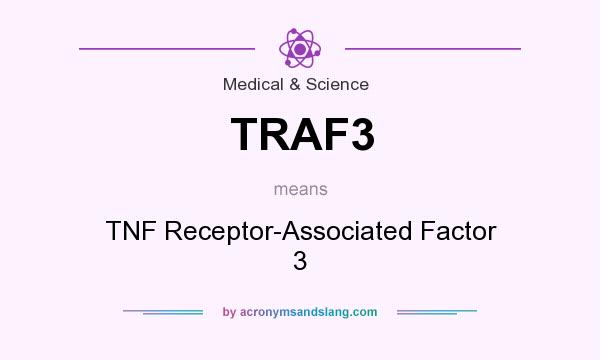 What does TRAF3 mean? It stands for TNF Receptor-Associated Factor 3
