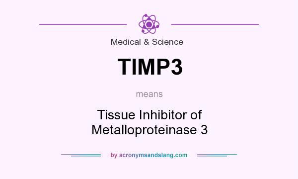 What does TIMP3 mean? It stands for Tissue Inhibitor of Metalloproteinase 3