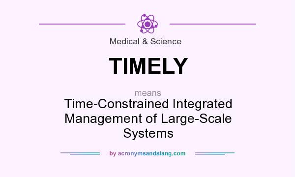 What does TIMELY mean? It stands for Time-Constrained Integrated Management of Large-Scale Systems