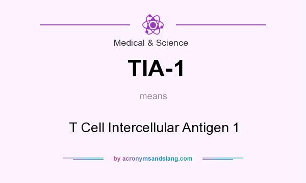 What does TIA-1 mean? It stands for T Cell Intercellular Antigen 1