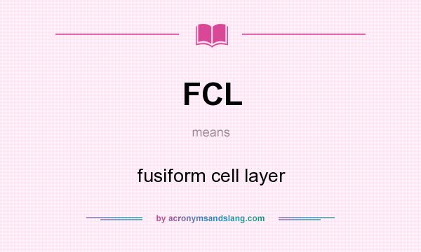 What does FCL mean? It stands for fusiform cell layer