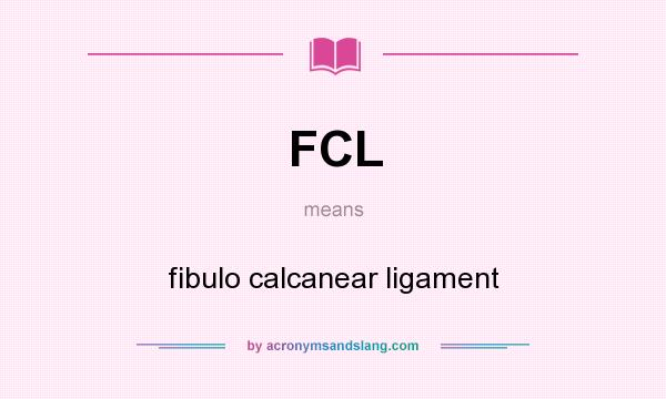 What does FCL mean? It stands for fibulo calcanear ligament