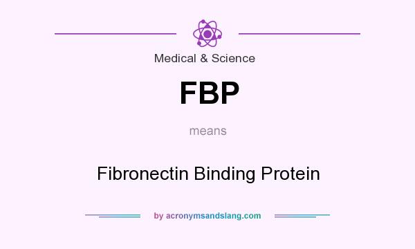 What does FBP mean? It stands for Fibronectin Binding Protein