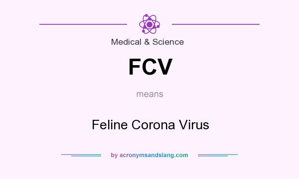 What does FCV mean? It stands for Feline Corona Virus