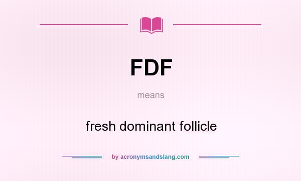 What does FDF mean? It stands for fresh dominant follicle
