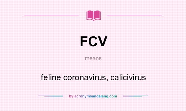 What does FCV mean? It stands for feline coronavirus, calicivirus