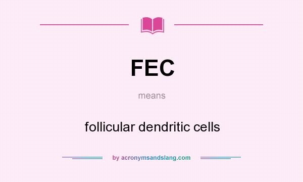 What does FEC mean? It stands for follicular dendritic cells