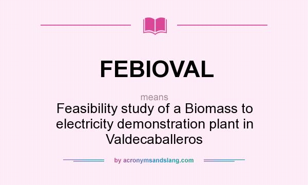 What does FEBIOVAL mean? It stands for Feasibility study of a Biomass to electricity demonstration plant in Valdecaballeros