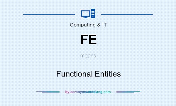 What does FE mean? It stands for Functional Entities