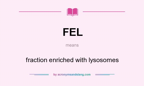 What does FEL mean? It stands for fraction enriched with lysosomes