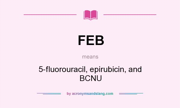 What does FEB mean? It stands for 5-fluorouracil, epirubicin, and BCNU