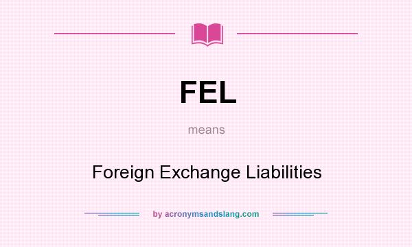 What does FEL mean? It stands for Foreign Exchange Liabilities