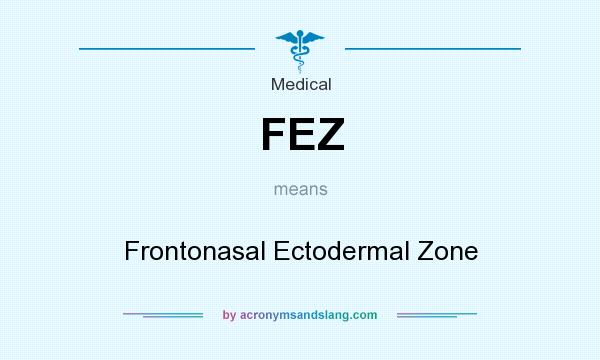 What does FEZ mean? It stands for Frontonasal Ectodermal Zone