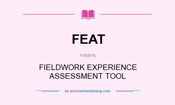 What does FEAT mean? It stands for FIELDWORK EXPERIENCE ASSESSMENT TOOL