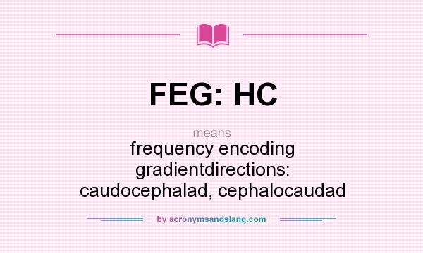 What does FEG: HC mean? It stands for frequency encoding gradientdirections: caudocephalad, cephalocaudad
