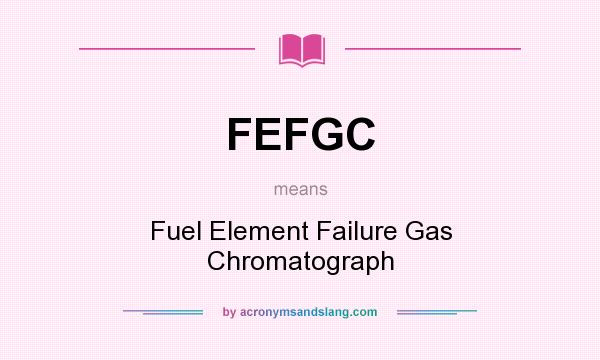 What does FEFGC mean? It stands for Fuel Element Failure Gas Chromatograph