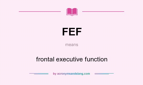 What does FEF mean? It stands for frontal executive function