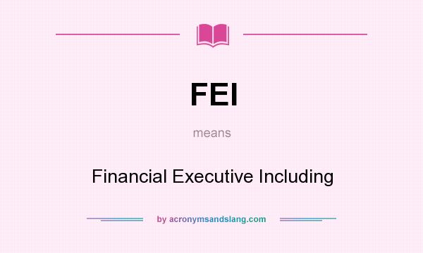 What does FEI mean? It stands for Financial Executive Including