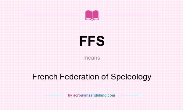 What does FFS mean? It stands for French Federation of Speleology