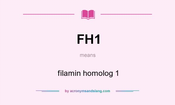 What does FH1 mean? It stands for filamin homolog 1