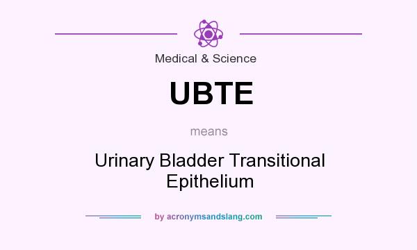 What does UBTE mean? It stands for Urinary Bladder Transitional Epithelium