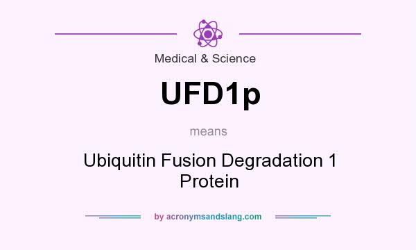 What does UFD1p mean? It stands for Ubiquitin Fusion Degradation 1 Protein